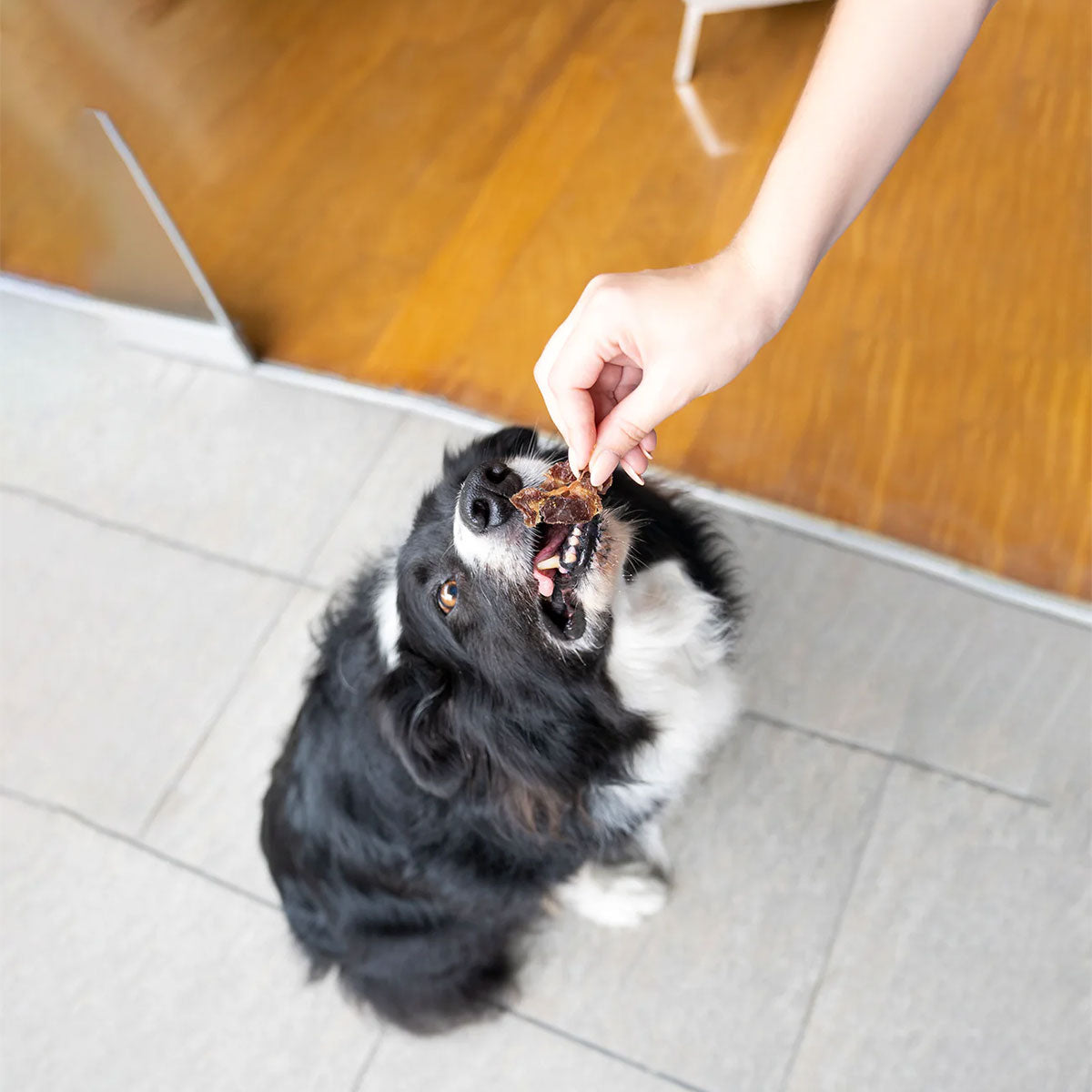 Barker Bites Mollejas de Pollo snack para perros y gatos 100 Gramos