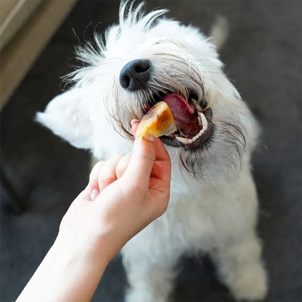 Barker Bites Long Lasting Snacks - Casquitos de Cerdo snack para perros (30 unidades)