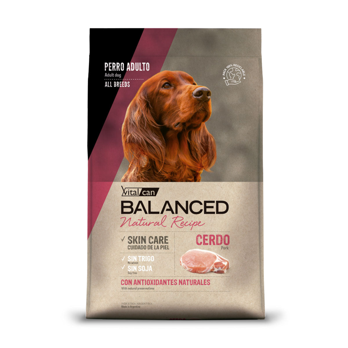 Vitalcan Balanced Natural Recipe Cerdo Perros Adultos