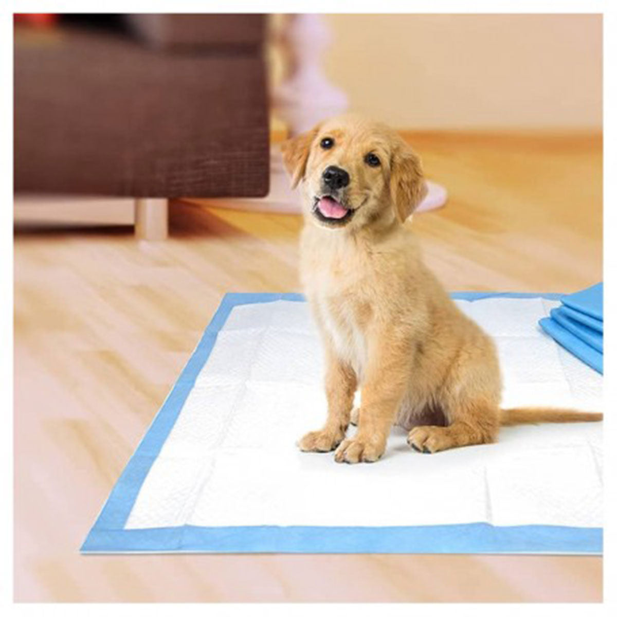 Four Paws Pet Select Pee-Pee Pads Alfombrillas para perros 30 Unidades