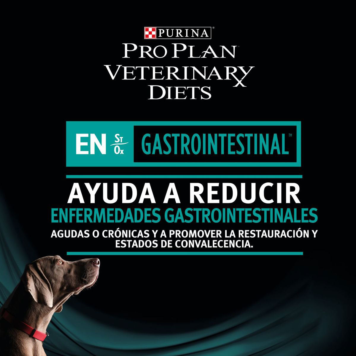 Pro Plan Veterinary Diets EN Gastrointestinal Fórmula Canina Todas las Razas y Edades