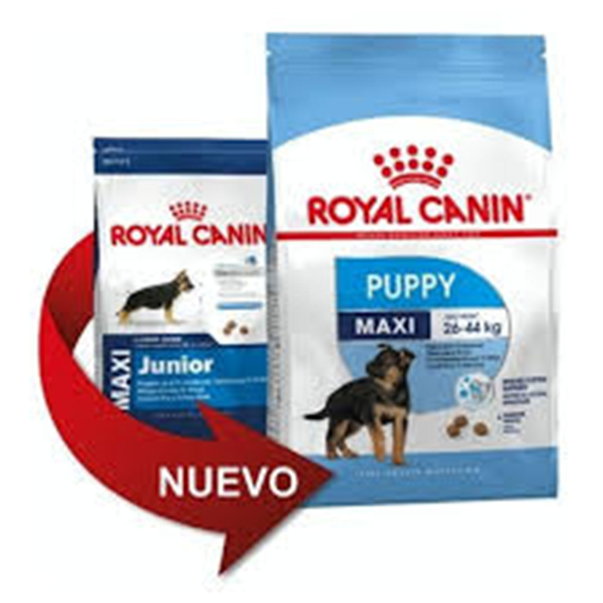 Royal Canin Maxi Puppy Cachorros 2 a 15 Meses