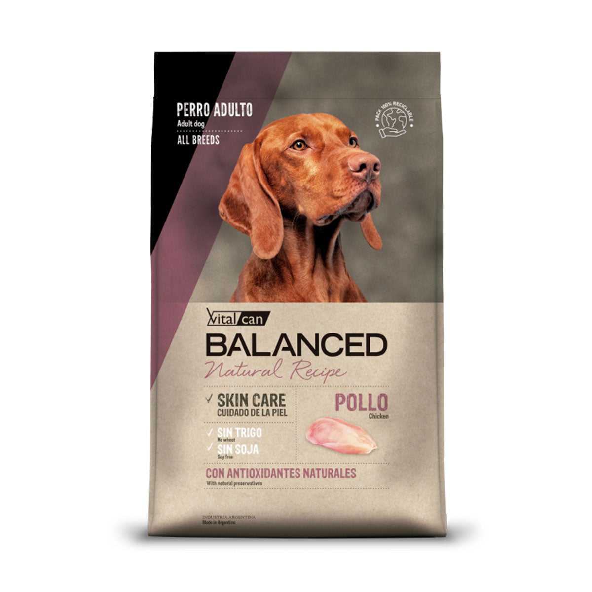 Vitalcan Balanced Natural Recipe Pollo Perros Adultos